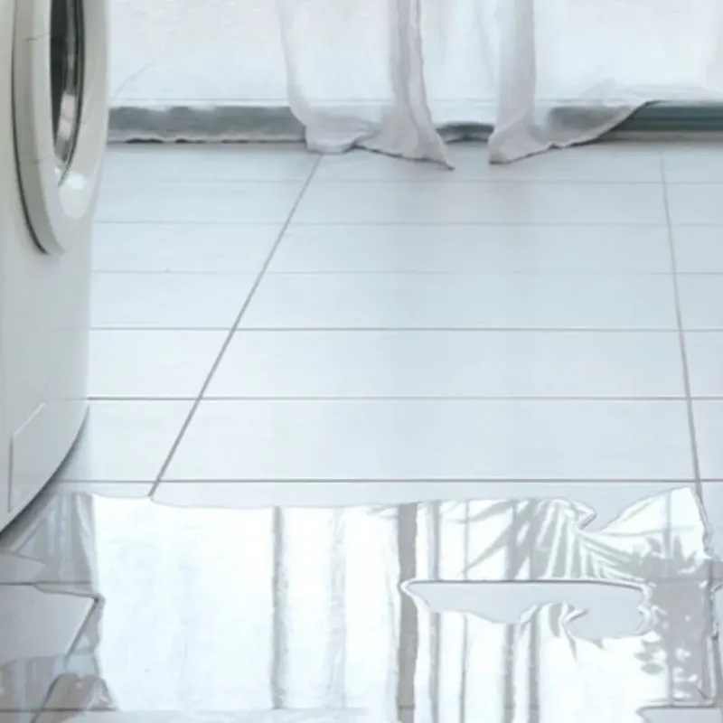 Appliance Leak Cleanup in Ironville, KY