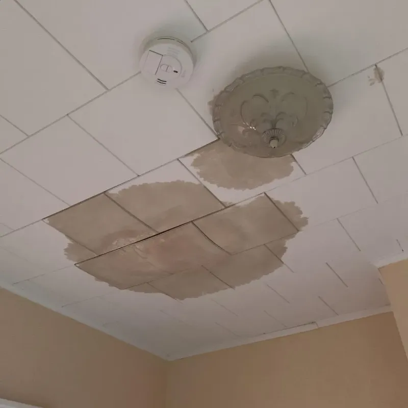 Ceiling Water Damage Repair in Ironville, KY