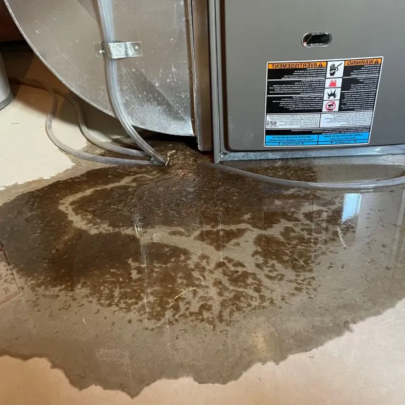 Pipe Burst and Leak Restoration in Ironville, KY