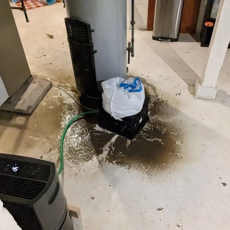 Sewage Backup Cleanup Service in Ironville, KY